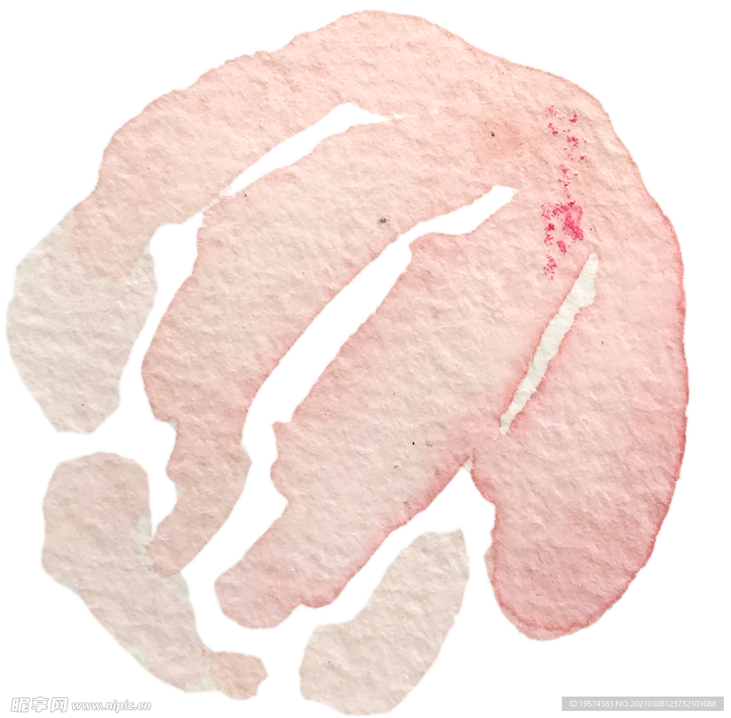 手绘水彩花卉花型花瓣