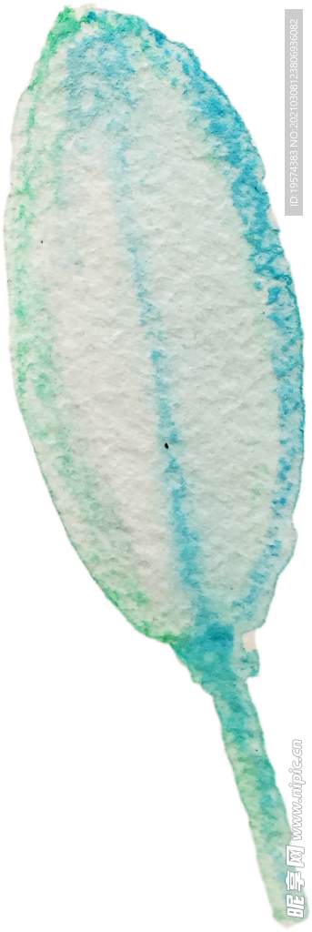 手绘水彩花卉花型花瓣