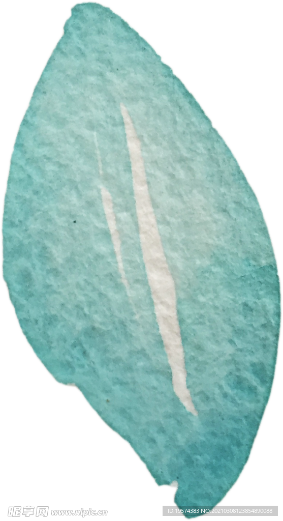 手绘水彩花卉花型花瓣