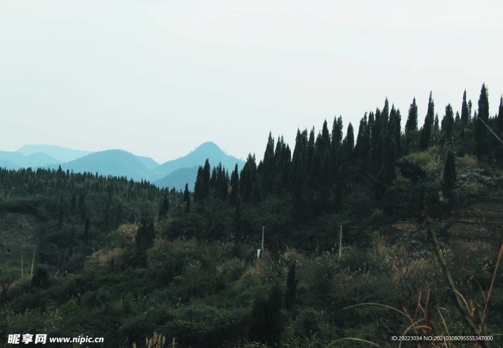 山