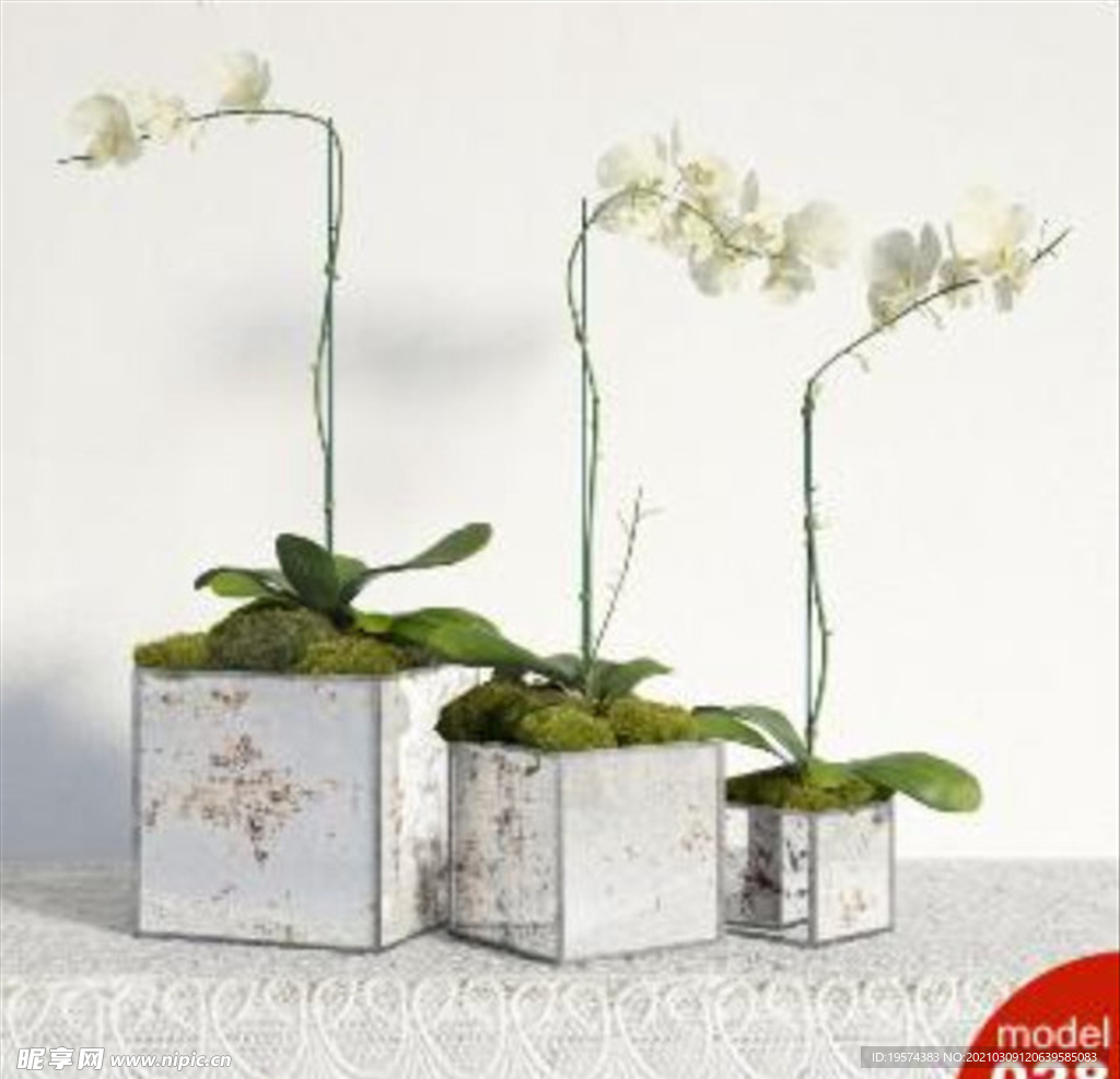 3DMAX模型植物花卉景观