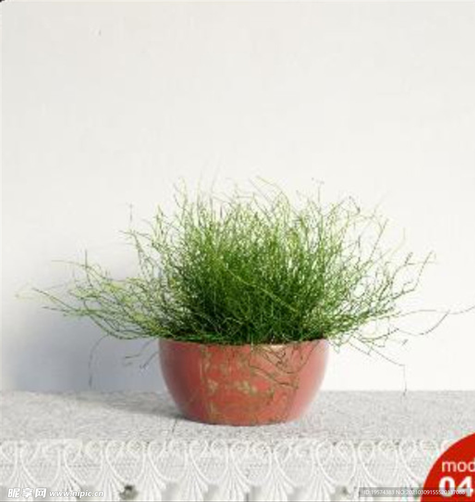 3DMAX模型植物花卉景观
