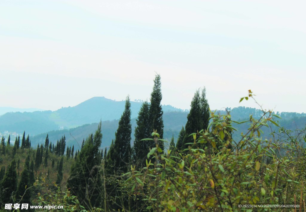 山
