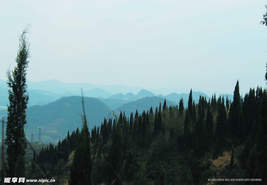山