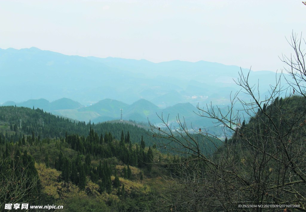 山