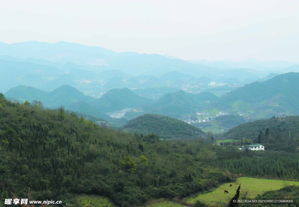 山