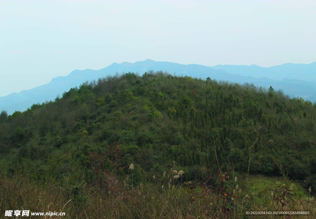 山