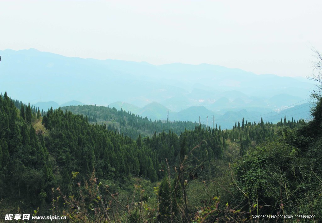 山