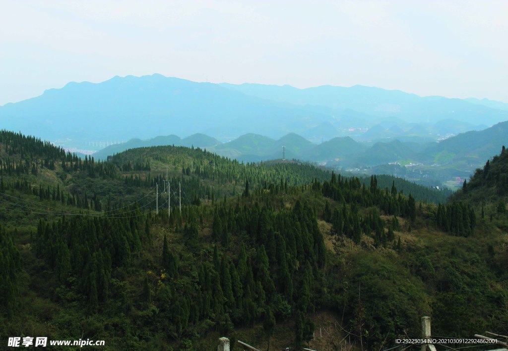 山  树林