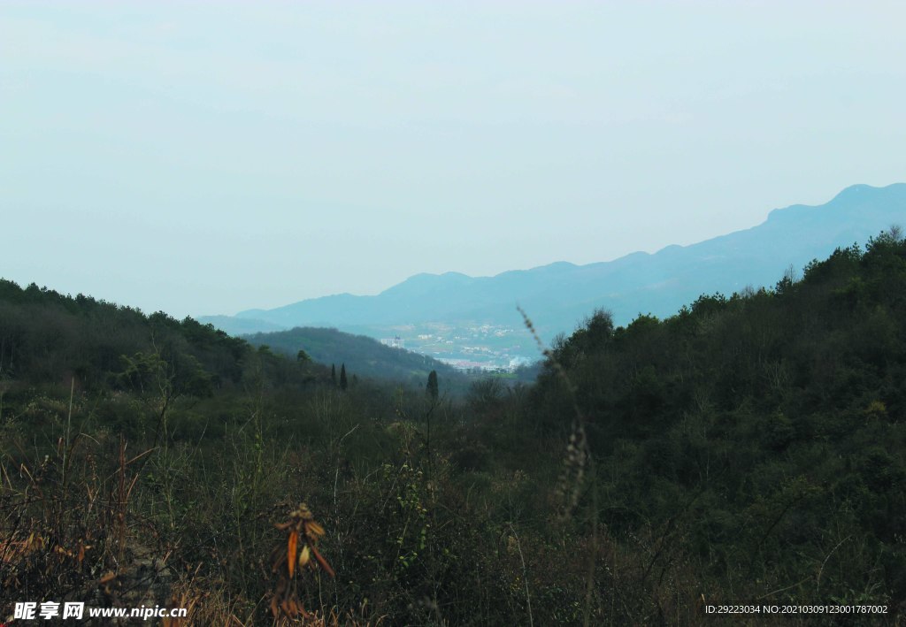 山