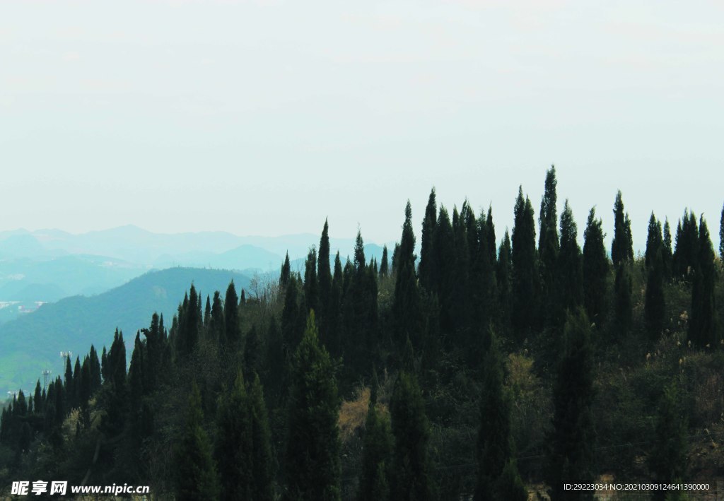山