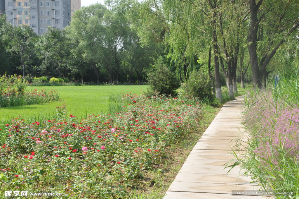 公园园林景观之植物群落