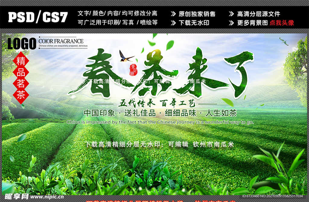 春茶图片