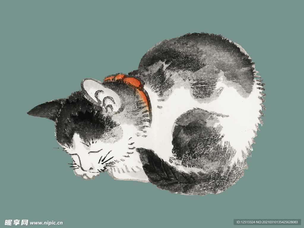 猫咪