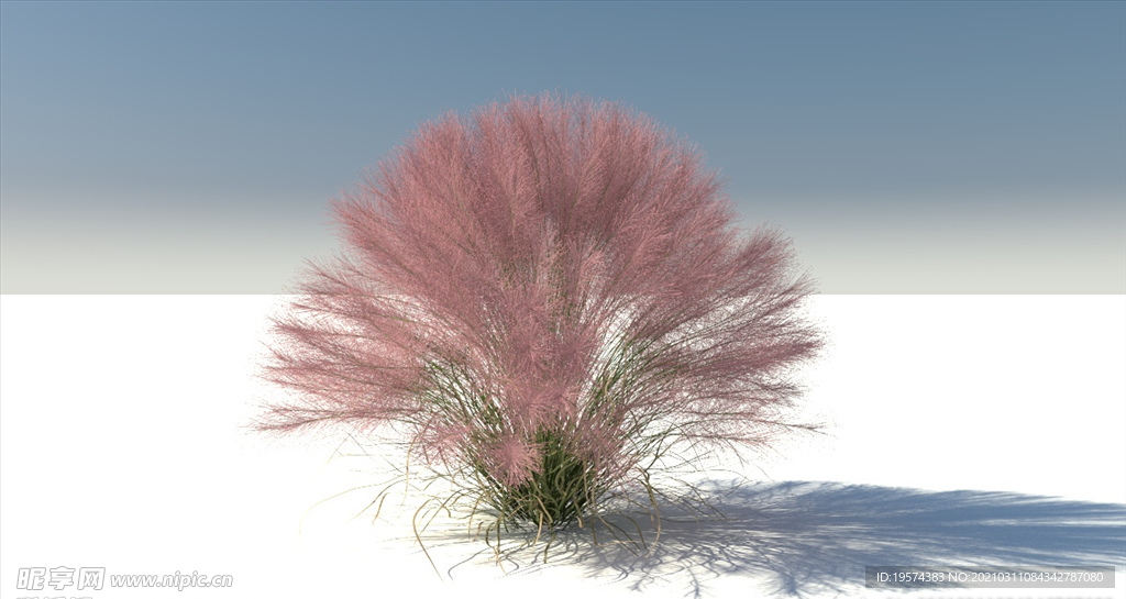 C4D模型乱子草
