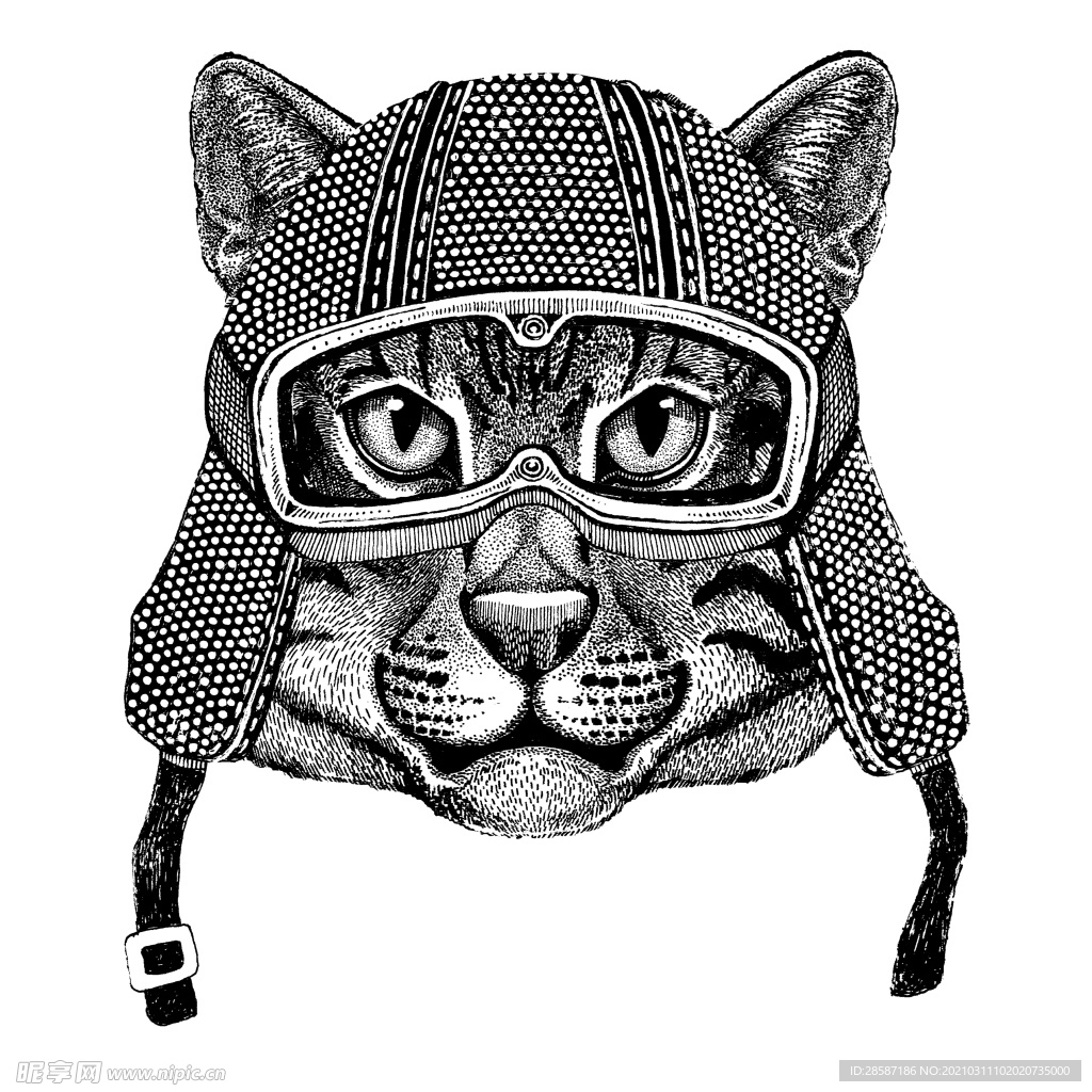 猫