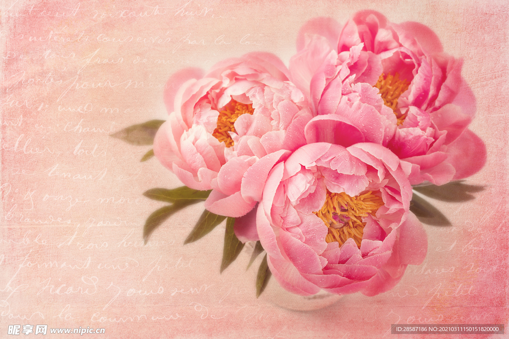 花