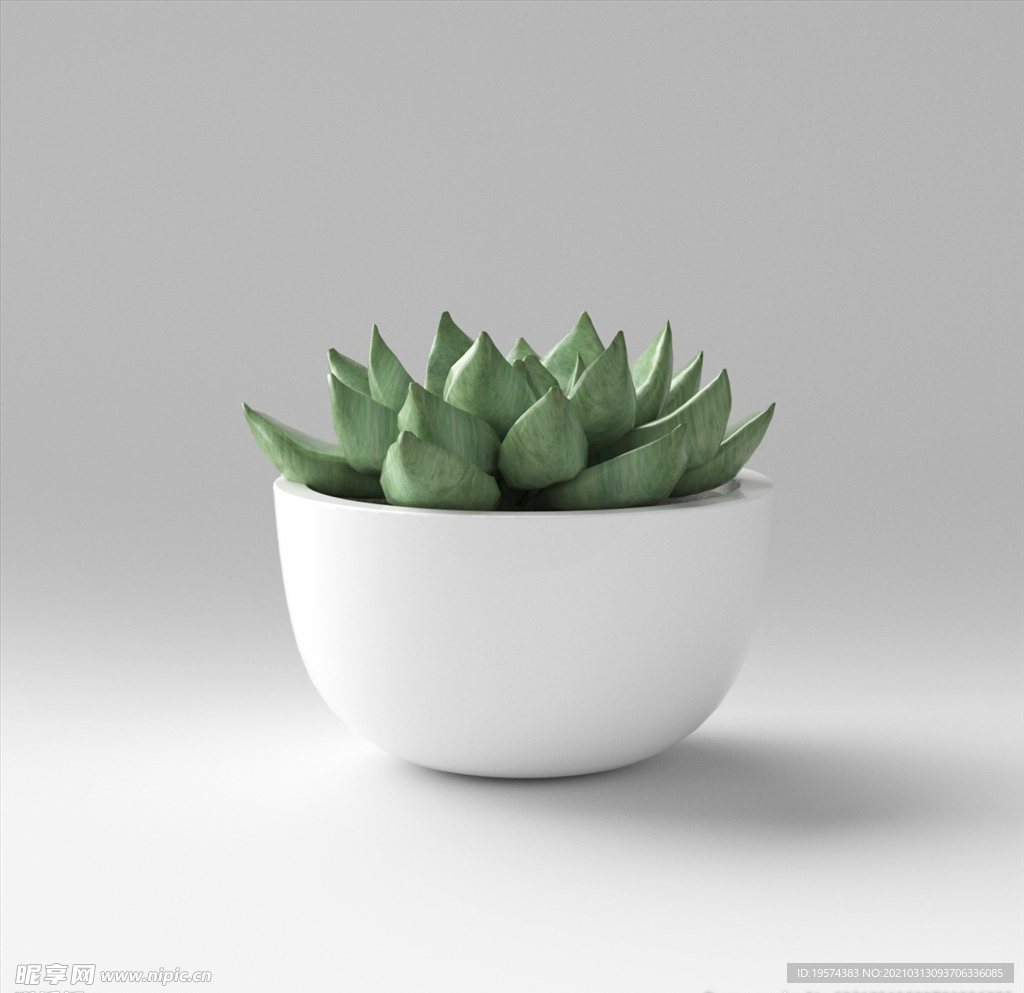 C4D模型盆栽绿色植物多肉插花