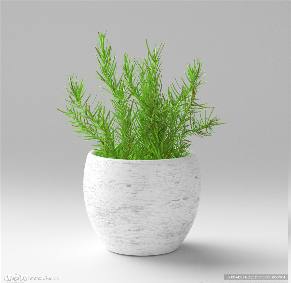 C4D模型盆栽绿色植物多肉插花