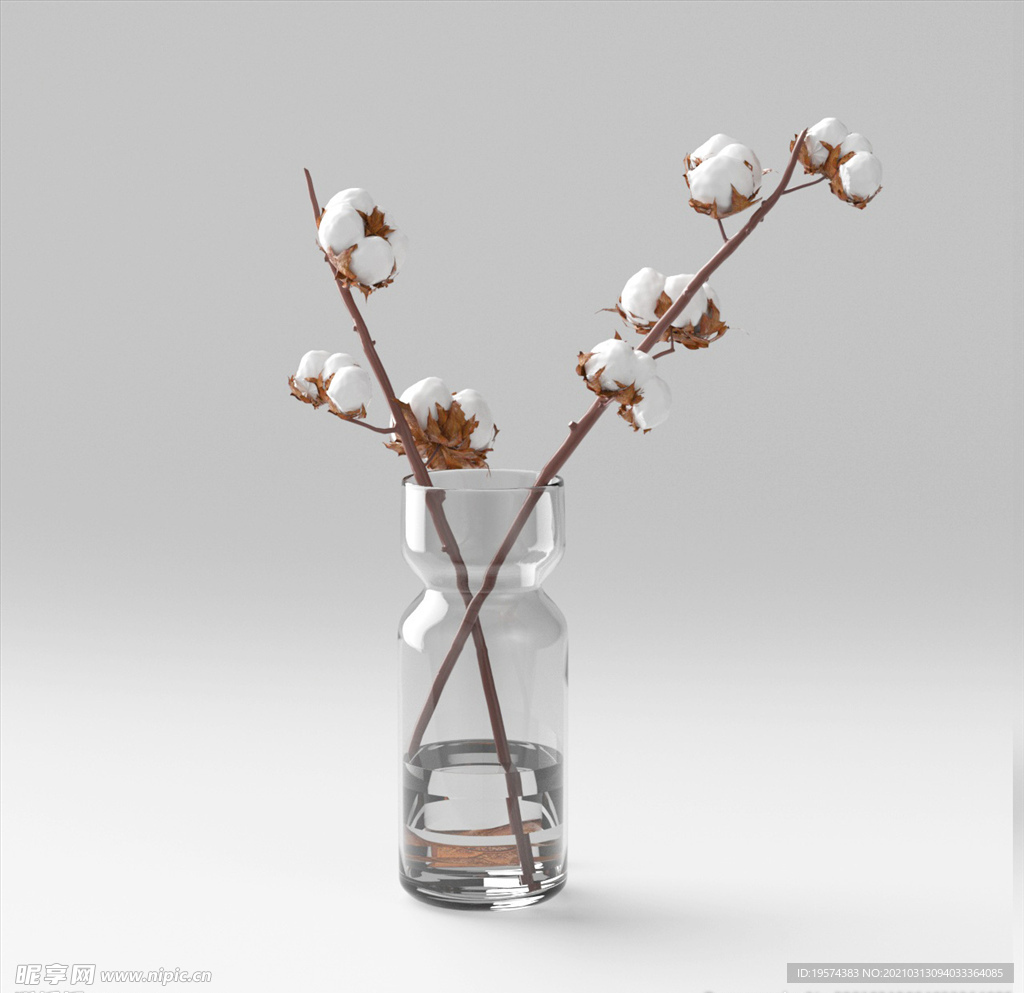 C4D模型盆栽绿色植物棉花插花