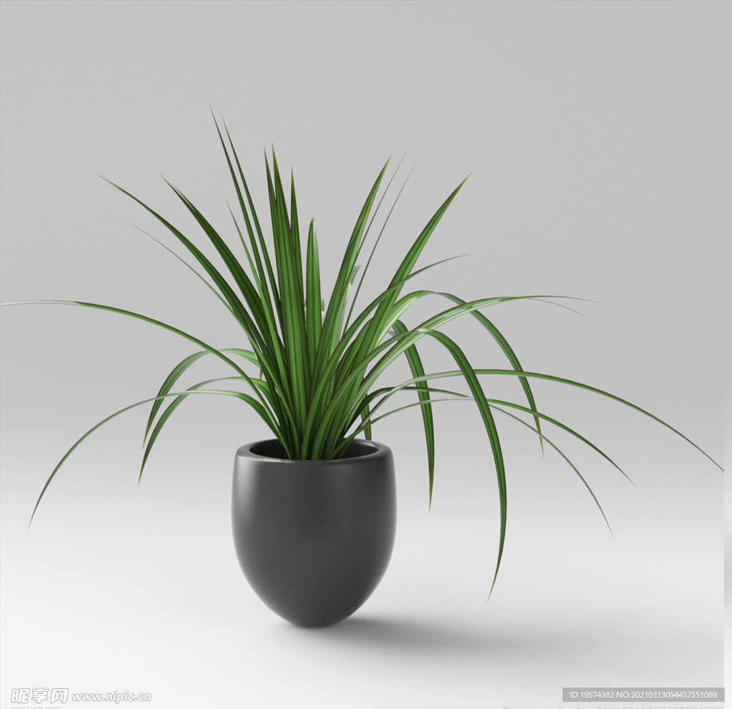 C4D模型盆栽绿色植物兰花插花