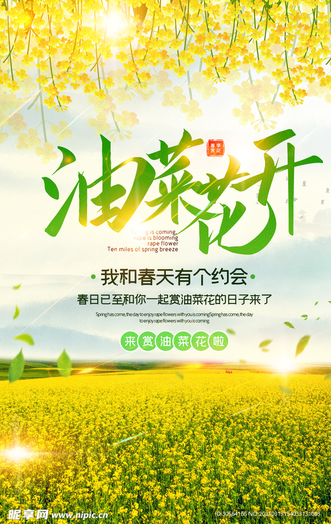 油菜花开旅游活动宣传海报素材