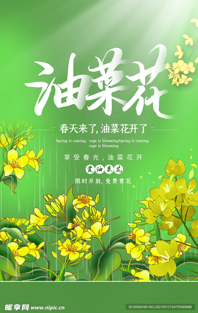 油菜花开旅游活动宣传海报素材