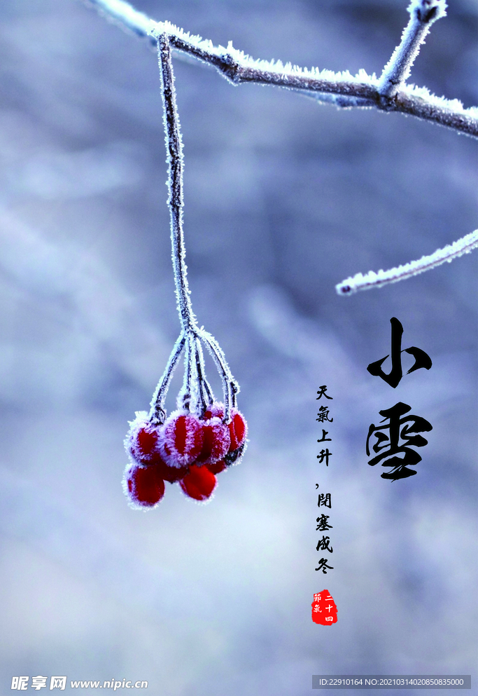 小雪海报