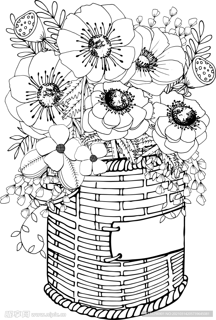 花边花纹