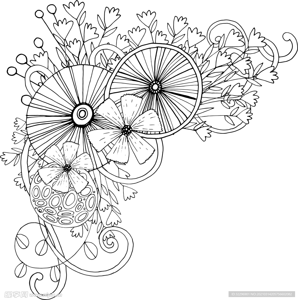 花边花纹