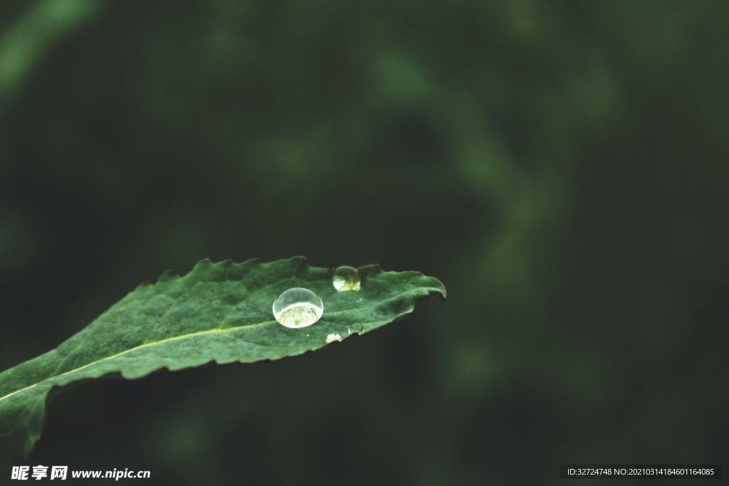 水珠