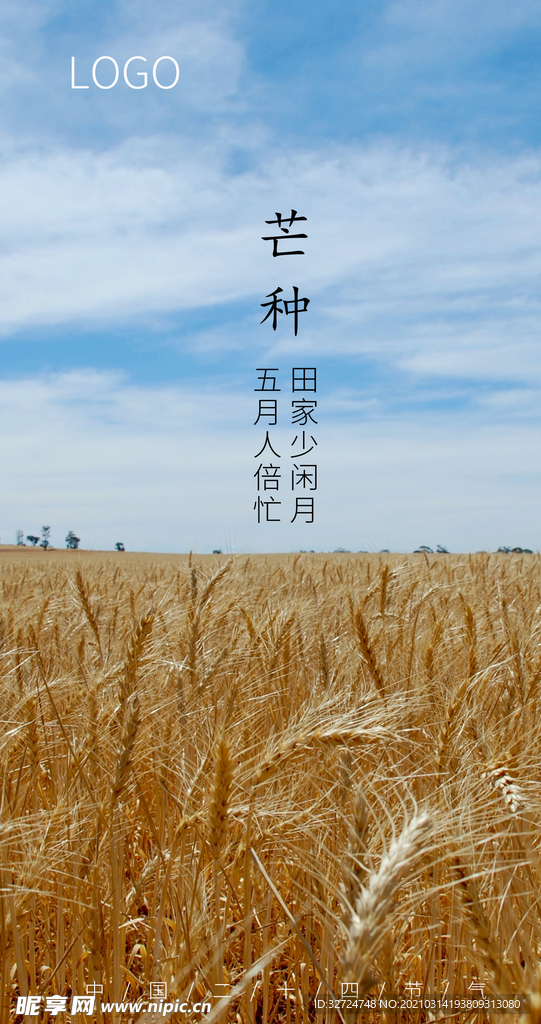 芒种