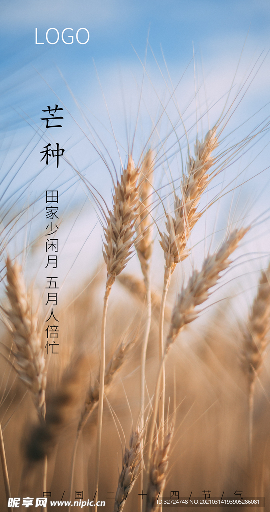 芒种