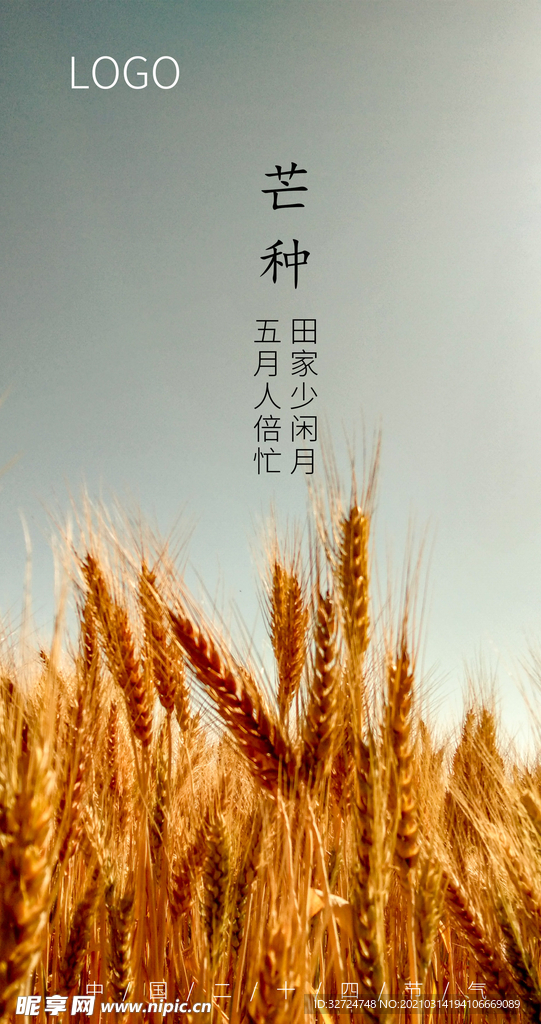 芒种