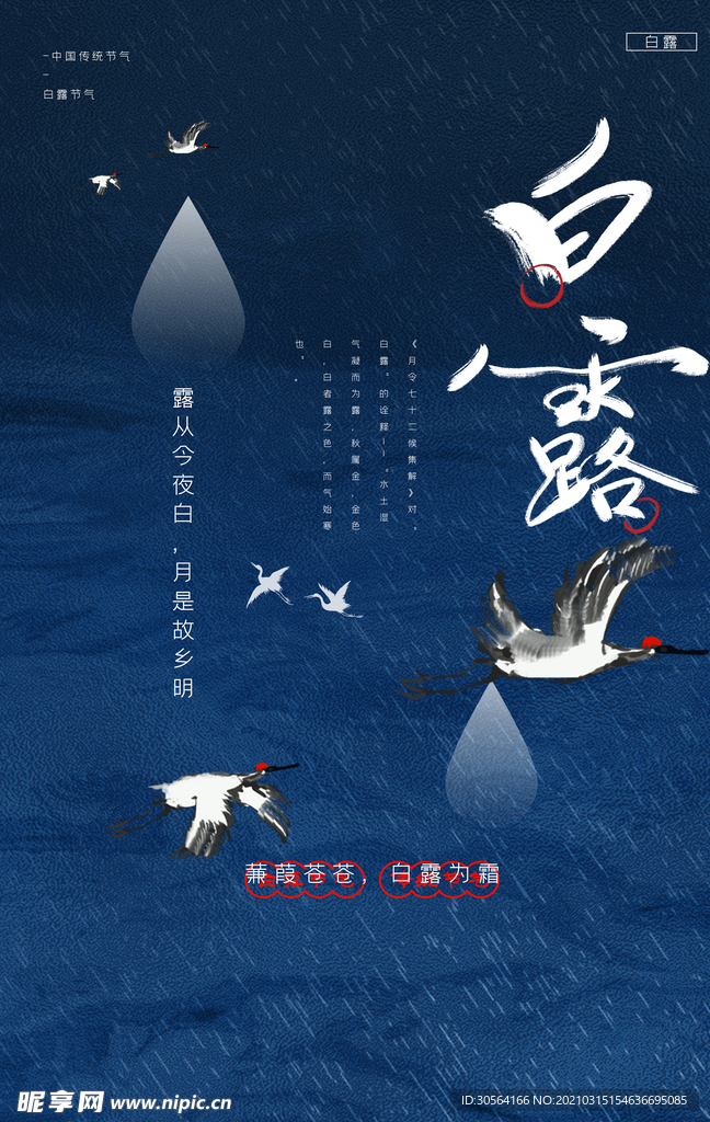 白露节气传统活动海报素材