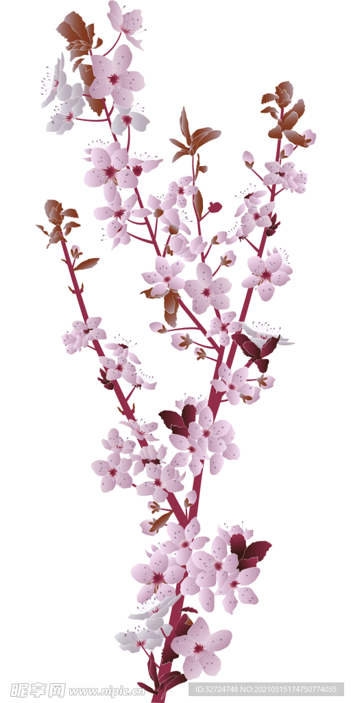 花朵手绘