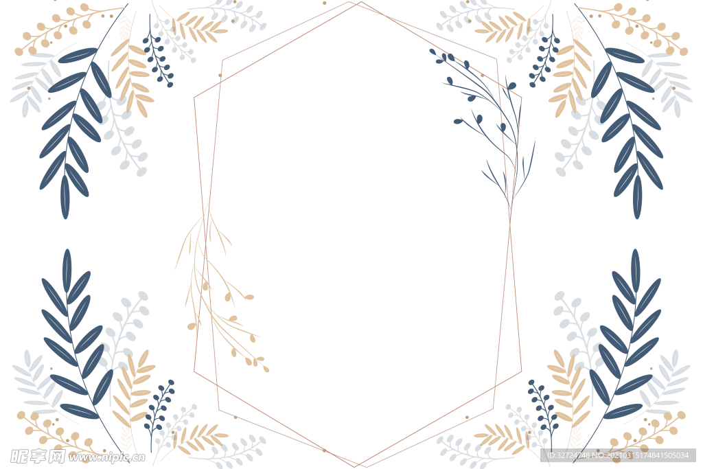 植物插画