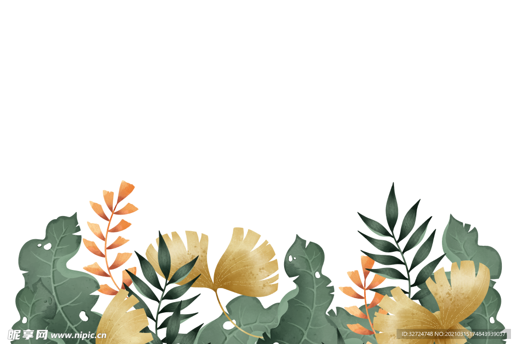 植物插画