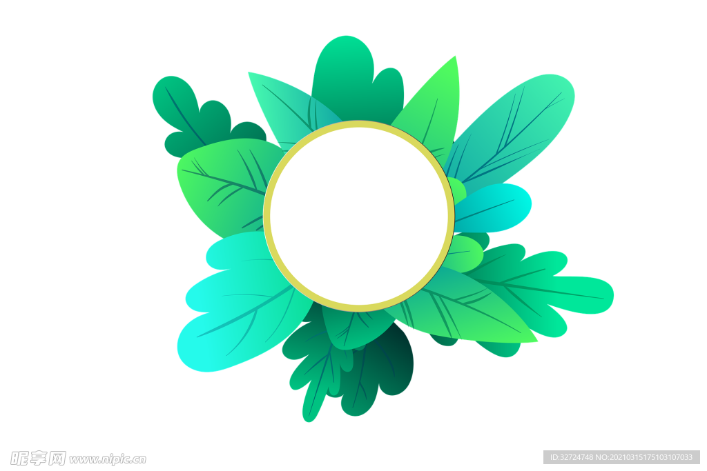 植物插画