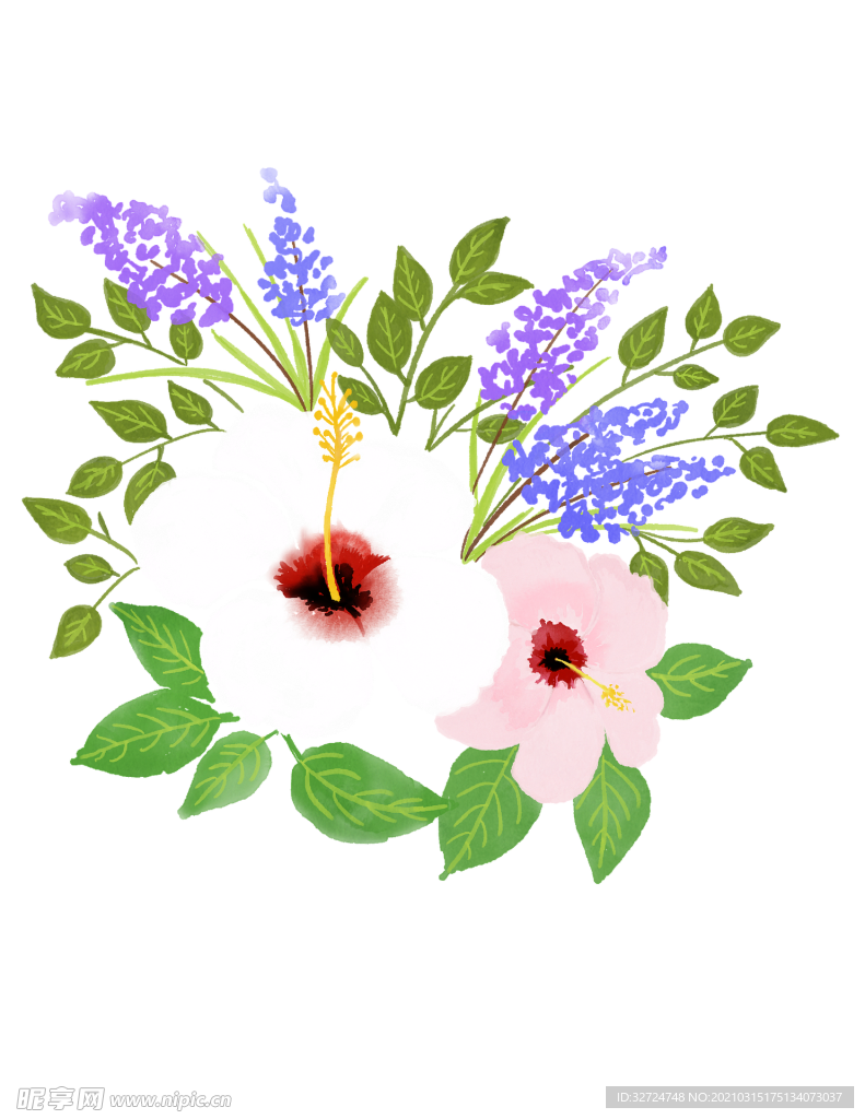花朵插画