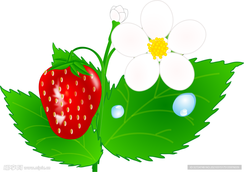 草莓