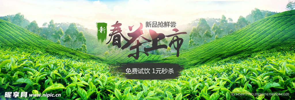 春茶上市横幅