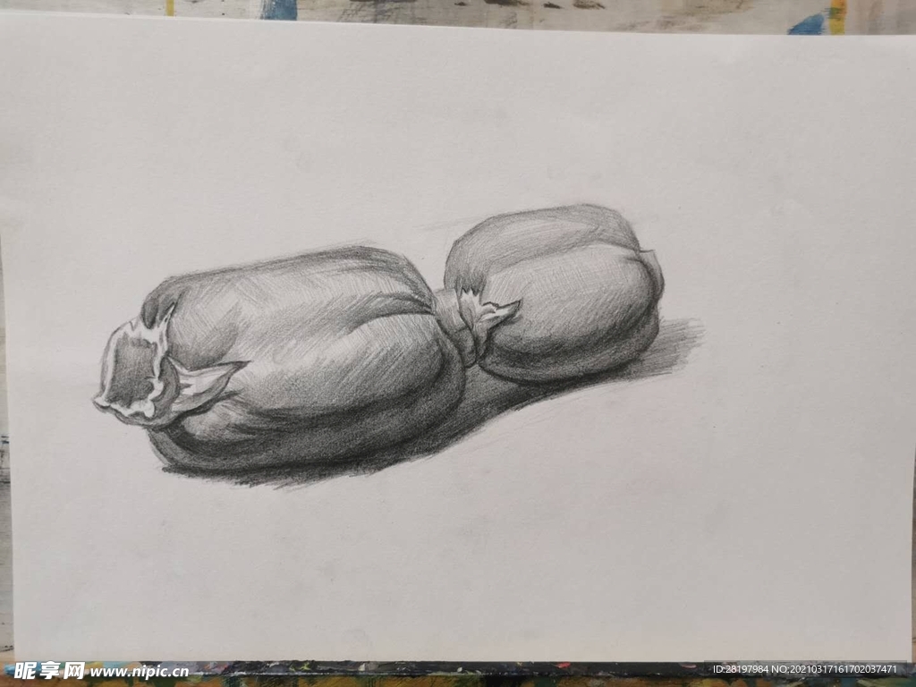 素描藕