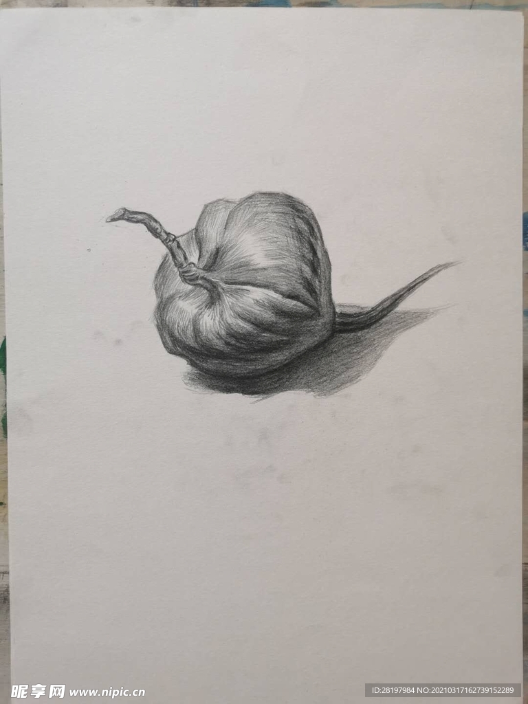 素描洋葱