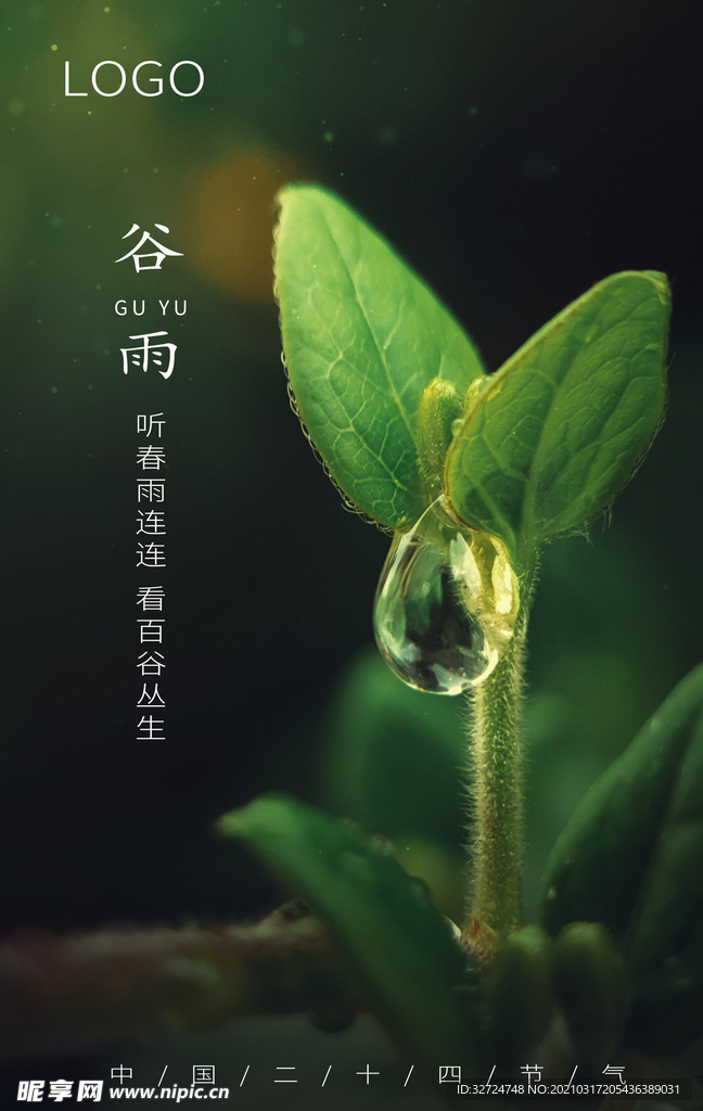 谷雨