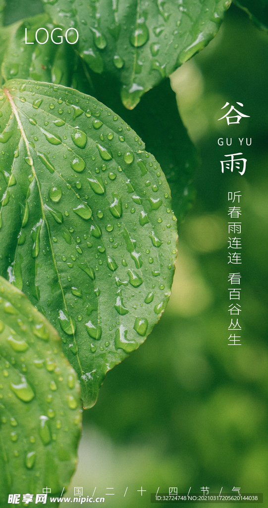 谷雨