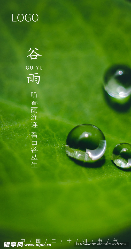 谷雨