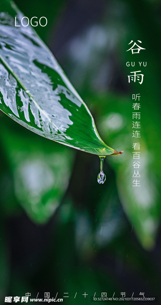 谷雨