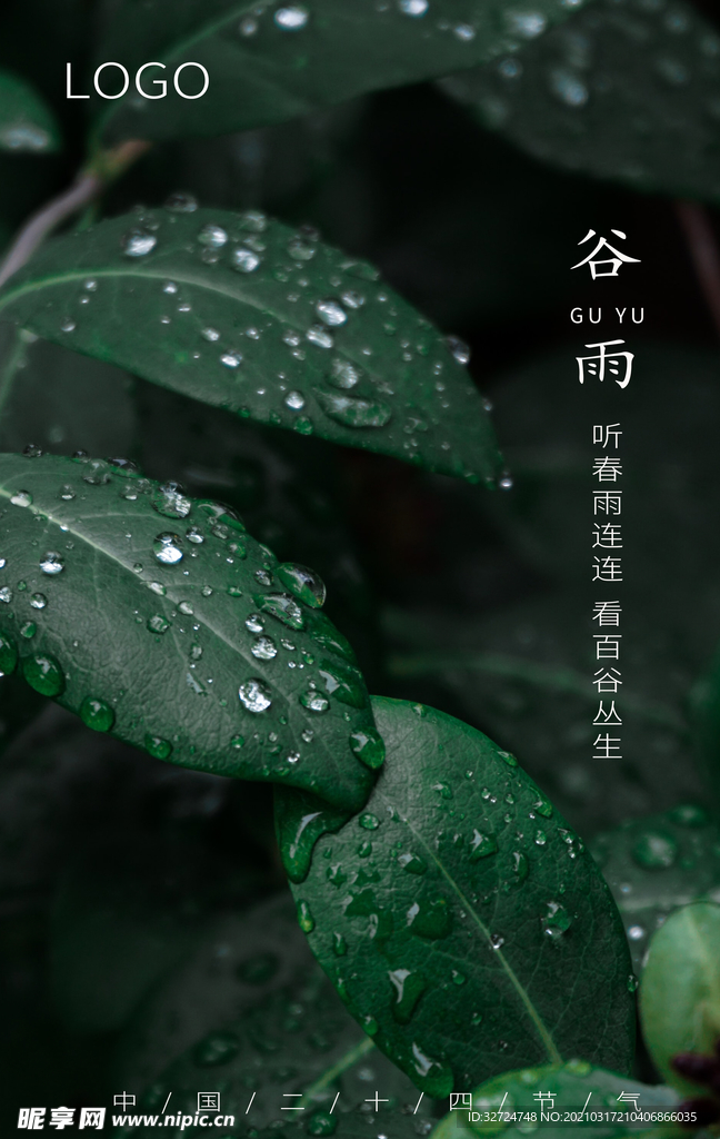 谷雨