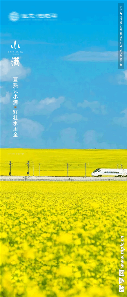 飞机稿
